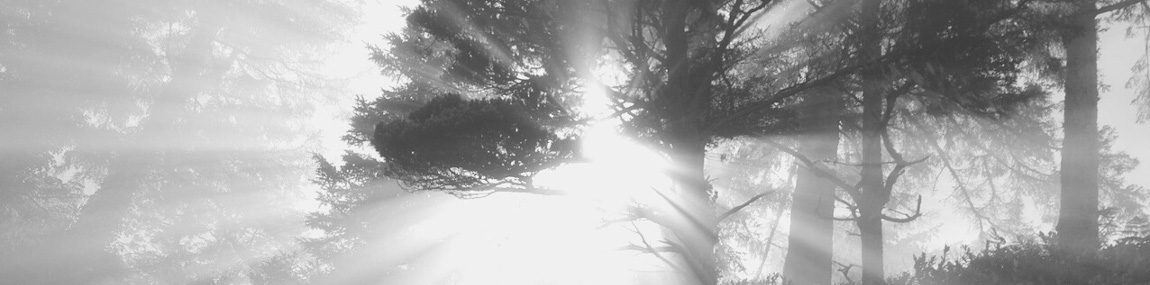 Spiritual Direction Deepening and Renewal
